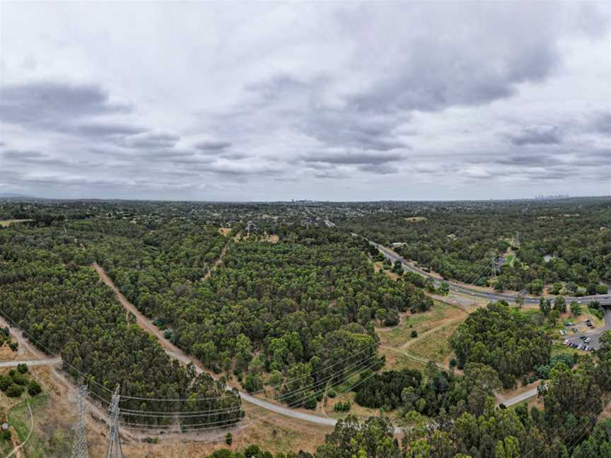 Westerfolds Park, Templestowe, VIC