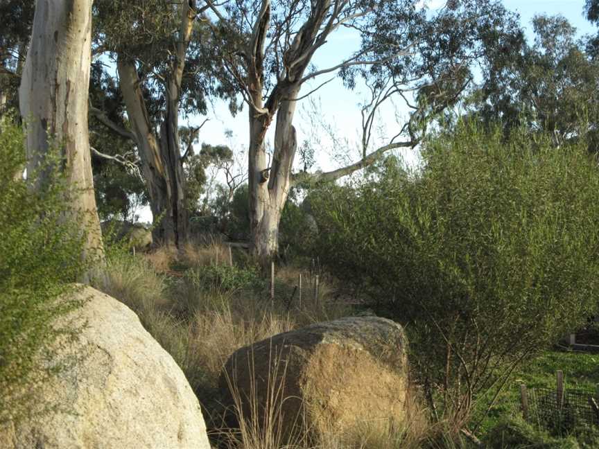 Westerfolds Park, Templestowe, VIC