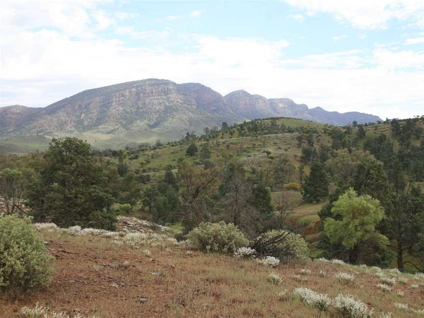 Brachina Gorge Geological Trail, Hawker, SA