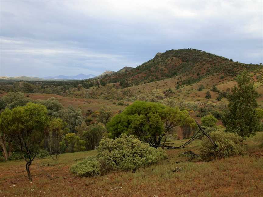 Brachina Gorge Geological Trail, Hawker, SA