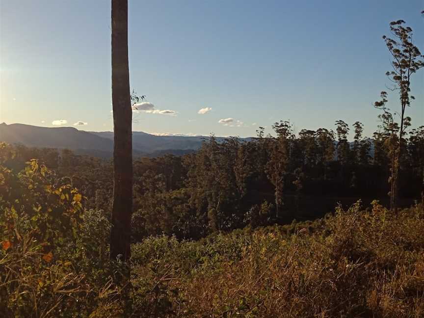 Coopernook Forest HQ, Moorland, NSW