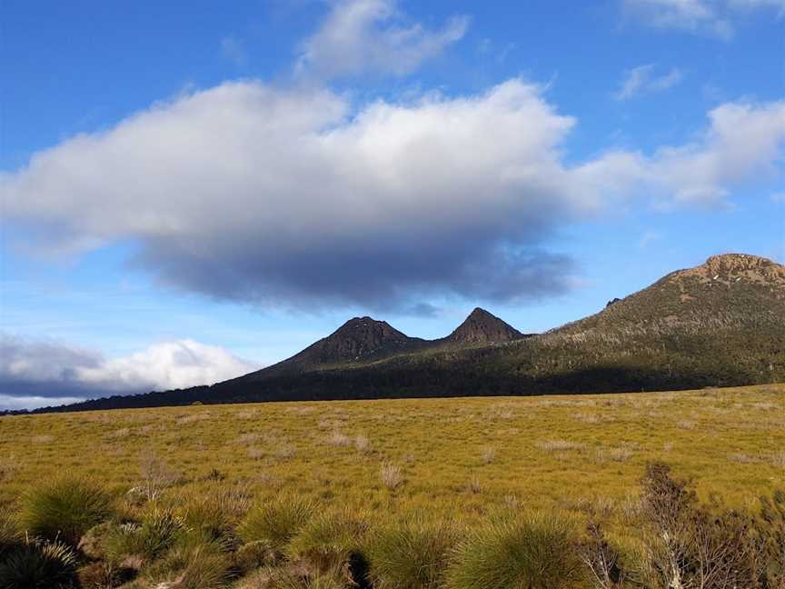 Franklin - Gordon Wild Rivers National Park, Derwent Bridge, TAS