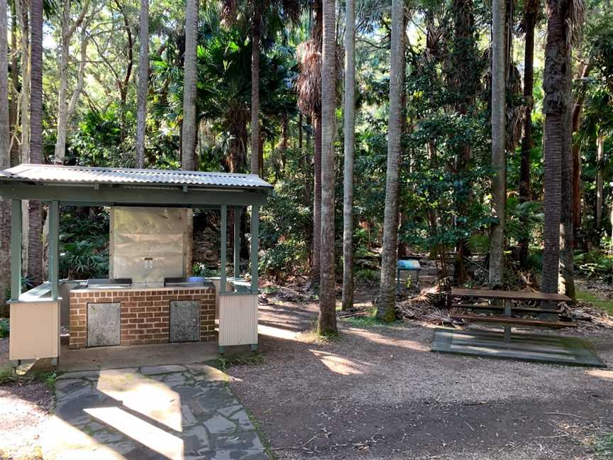 Palms picnic area, Frazer Park, NSW