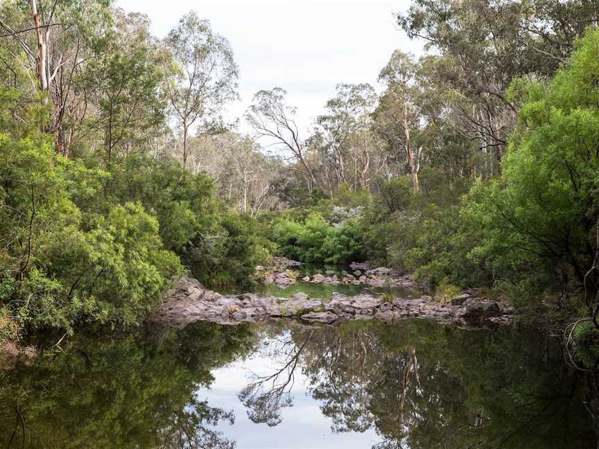 Briagolong State Forest, Briagolong, VIC