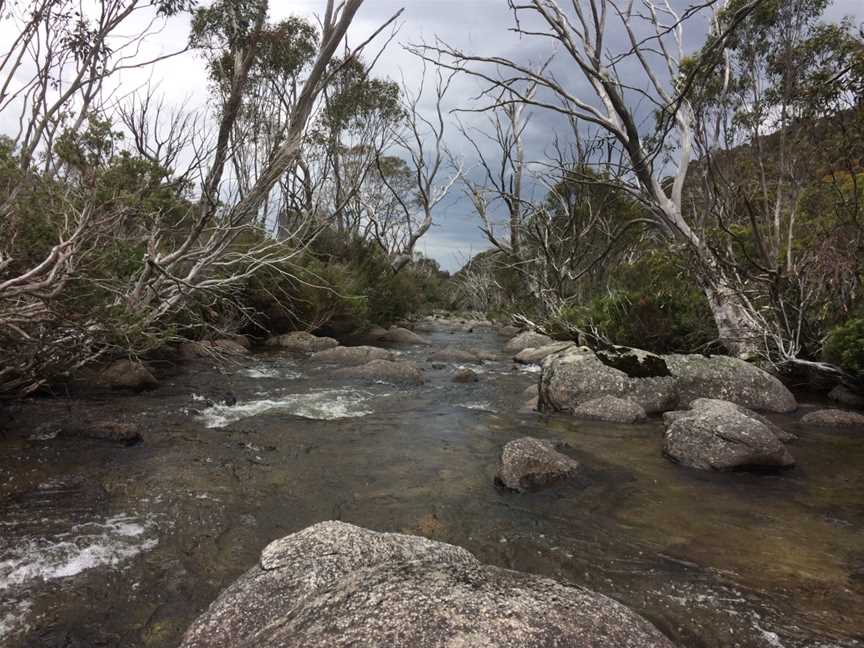 Thredbo River, Thredbo, NSW