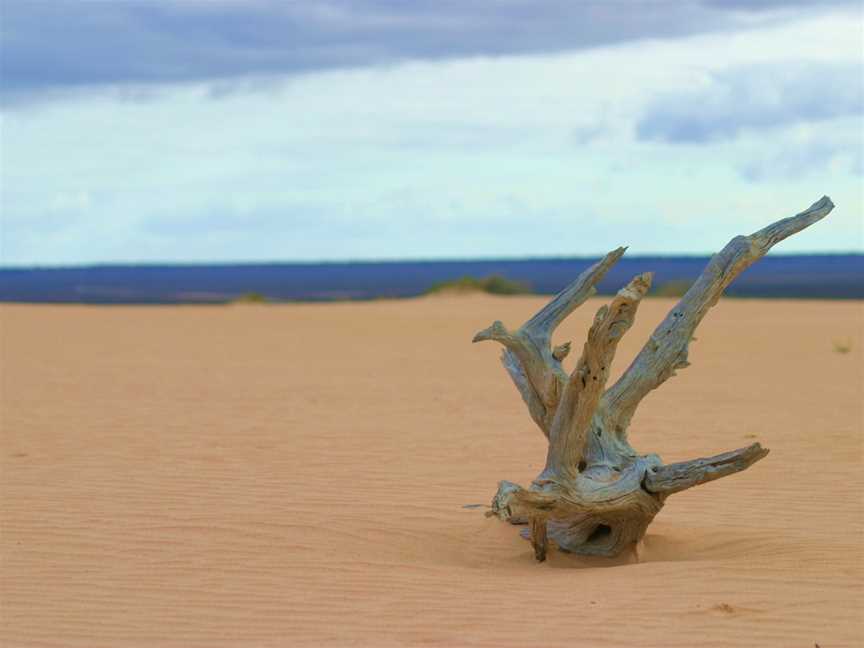 Mungo National Park, Pan Ban, NSW