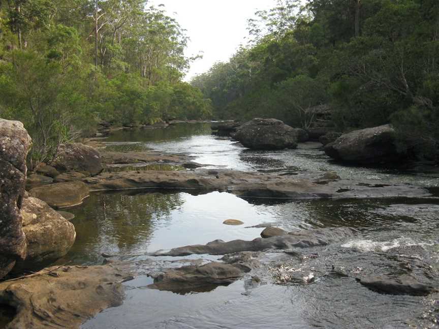 Georges River Nature Reserve, Kentlyn, NSW