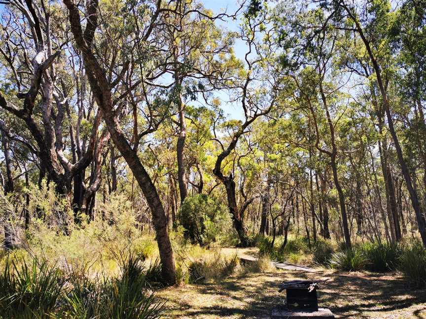 Kings Plains National Park, Gilgai, NSW