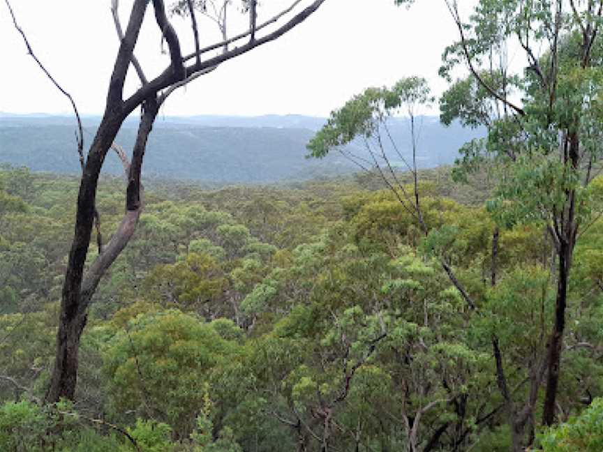 Mount Olive lookout, Glenworth Valley, NSW