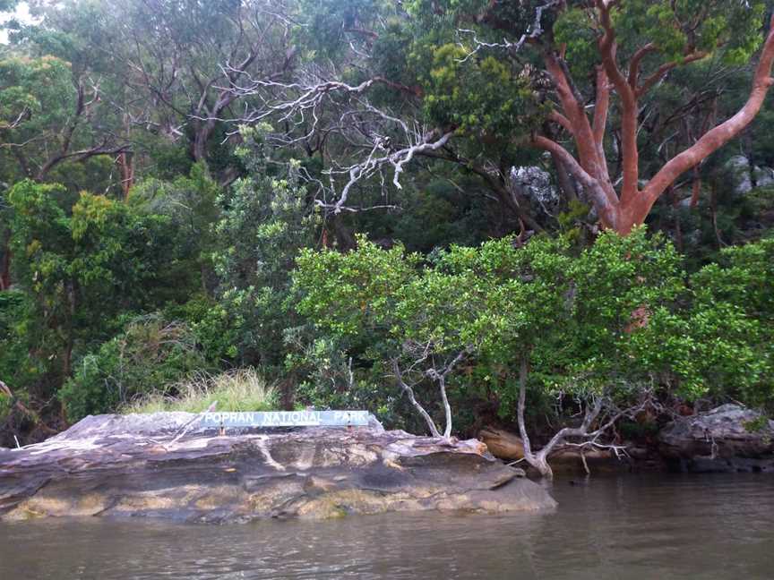 Popran National Park, Glenworth Valley, NSW