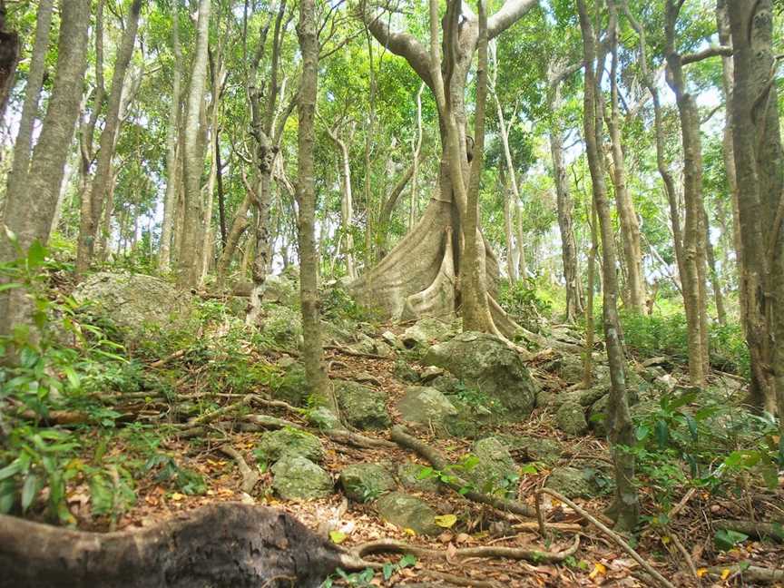 Burleigh Head National Park, Burleigh Heads, QLD