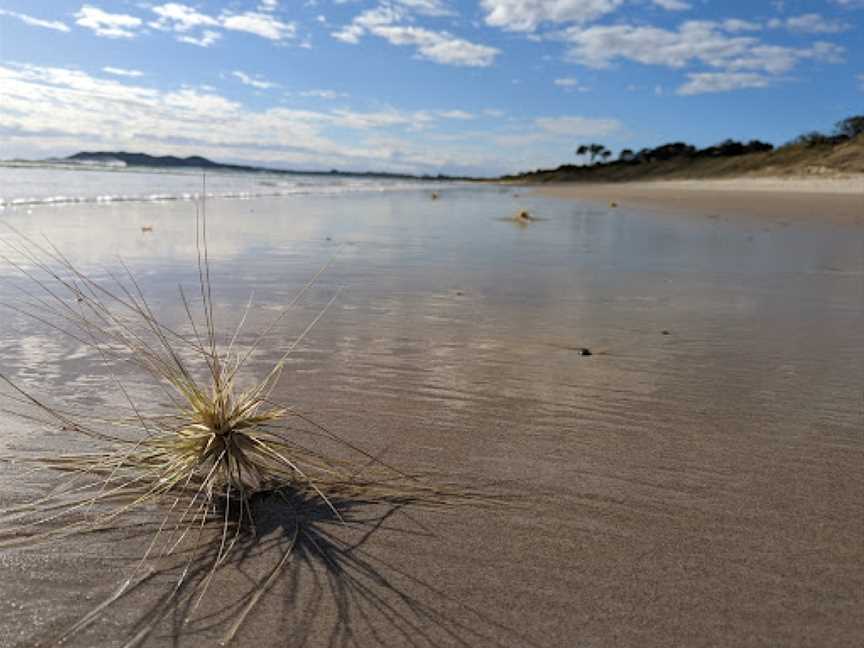 Tyagarah Nature Reserve, Tyagarah, NSW