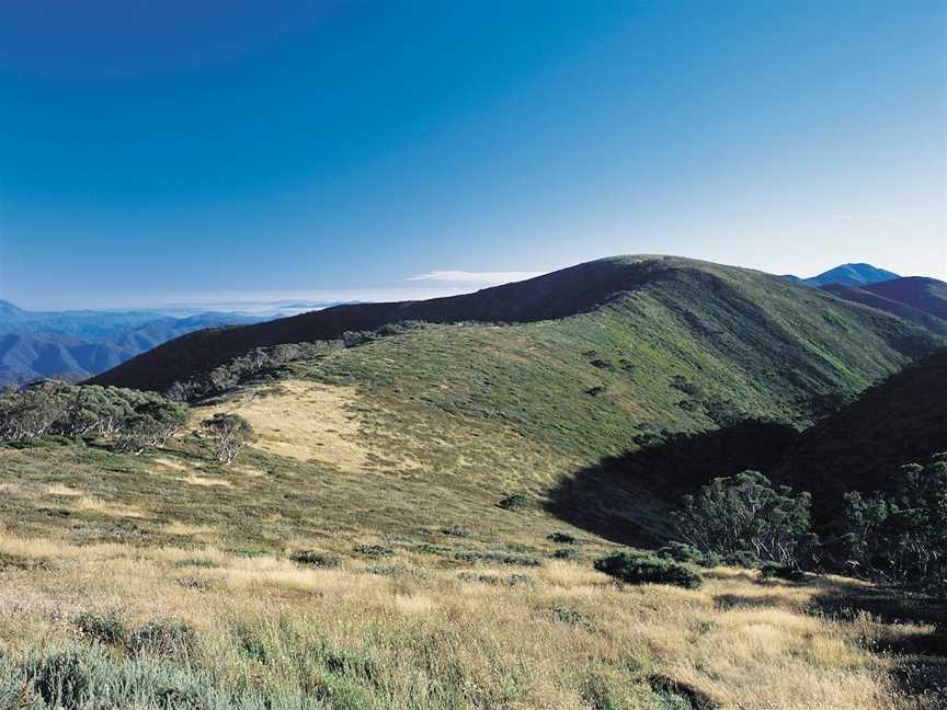 Alpine National Park, Hotham Heights, VIC