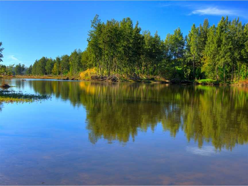 Navua Reserve, Grose Wold, NSW