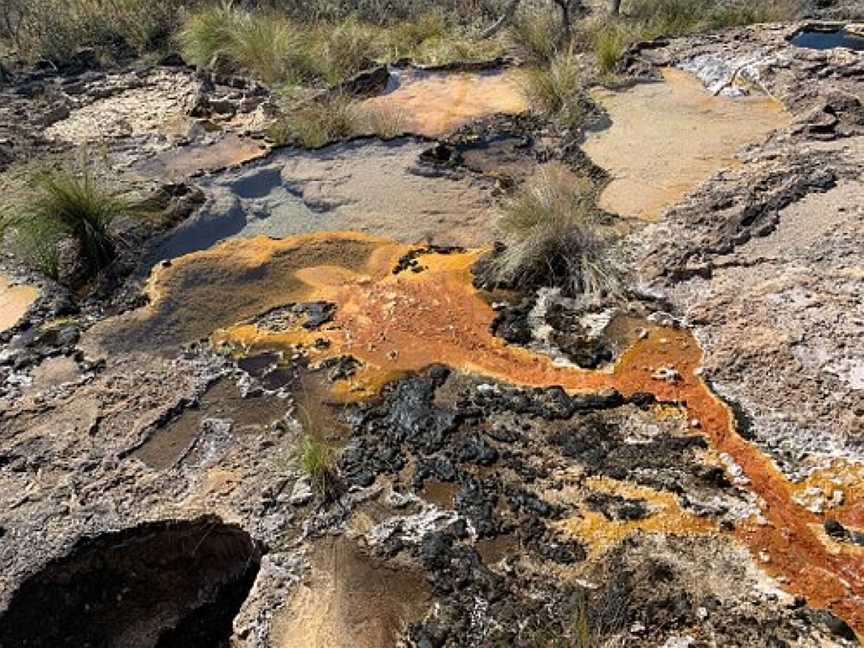 Talaroo Hot Springs Soaking Pools, Mount Surprise, QLD