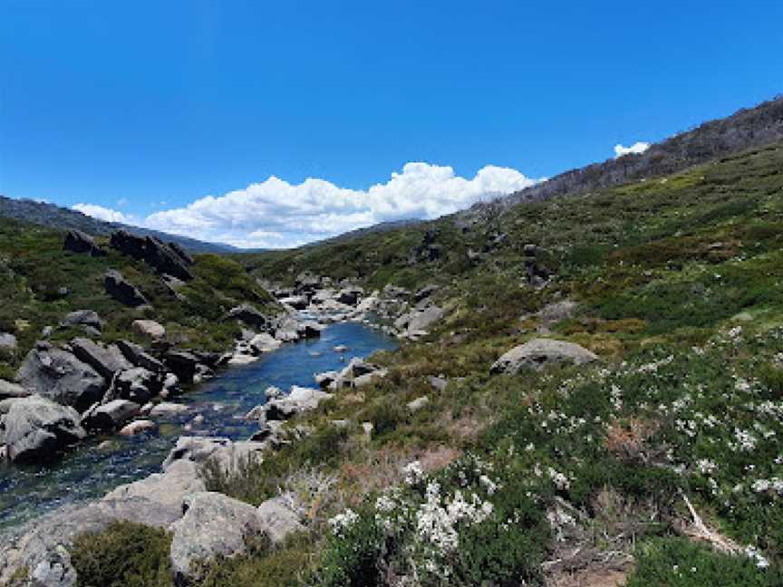 Illawong Walk, Kosciuszko National Park, NSW