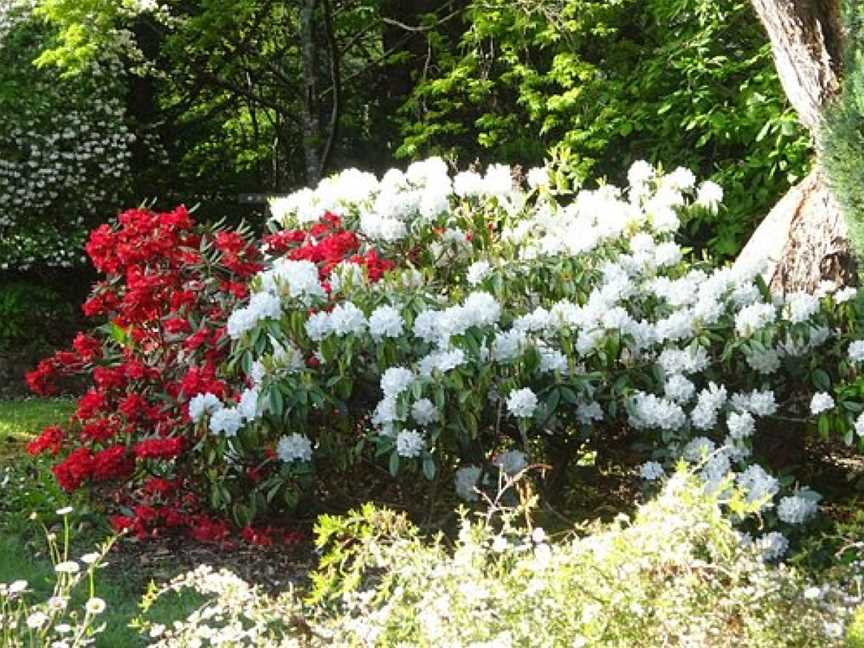 Pirianda Garden, Olinda, VIC