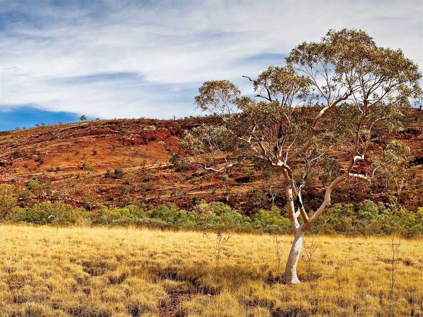 Hamersley Range, Hamersley Range, WA