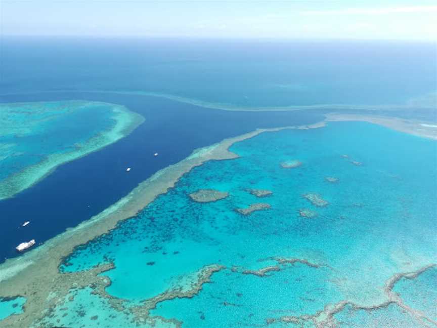 Hardy Reef, Hook Island, QLD