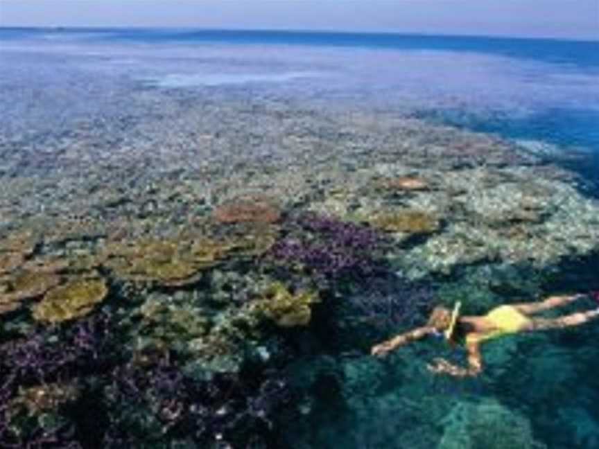 Hardy Reef, Hook Island, QLD