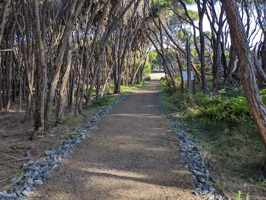 Tura Headland Walking Track, Tura Beach, NSW