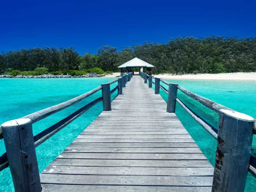 Coral Gardens, Heron Island, QLD