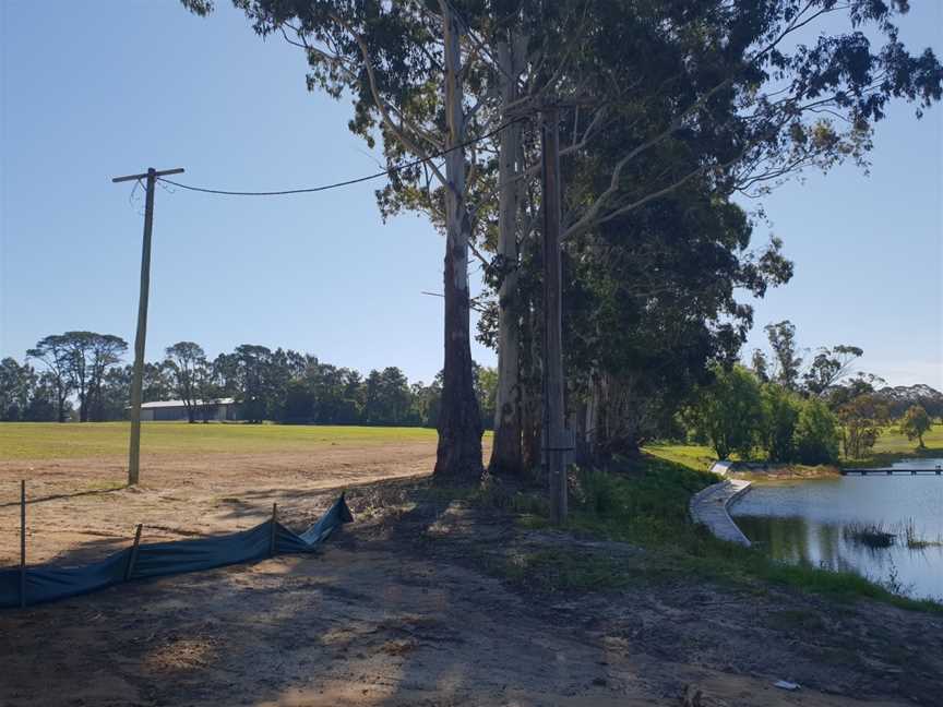 Palm Grove Nature Reserve, Somersby, NSW