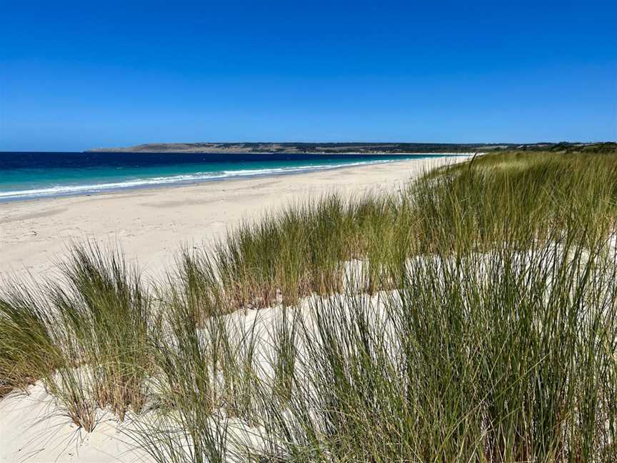 Lashmar Conservation Park, Penneshaw, SA