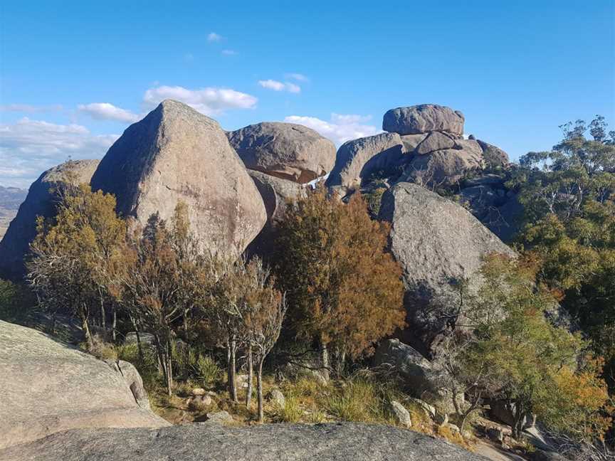 Evans Crown Nature Reserve, Tarana, NSW