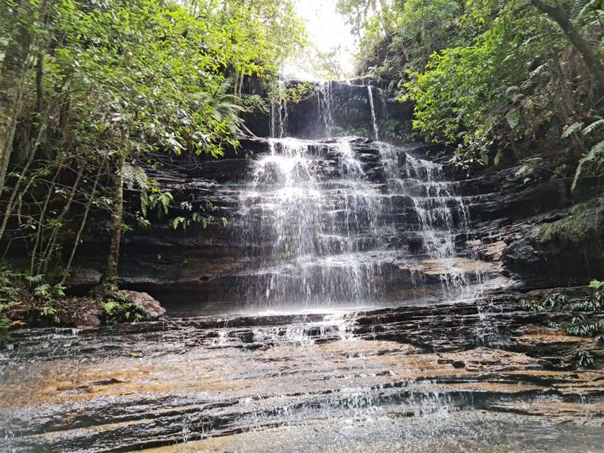 South Lawson Waterfall Circuit, Lawson, NSW