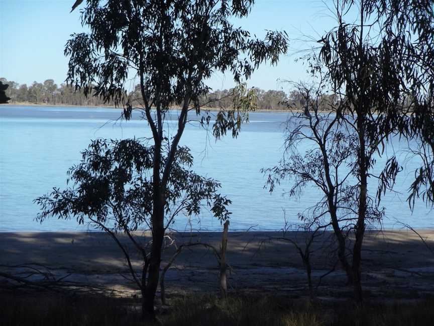 Yanga Lake Red Gum Bird Hide, Yanga, NSW