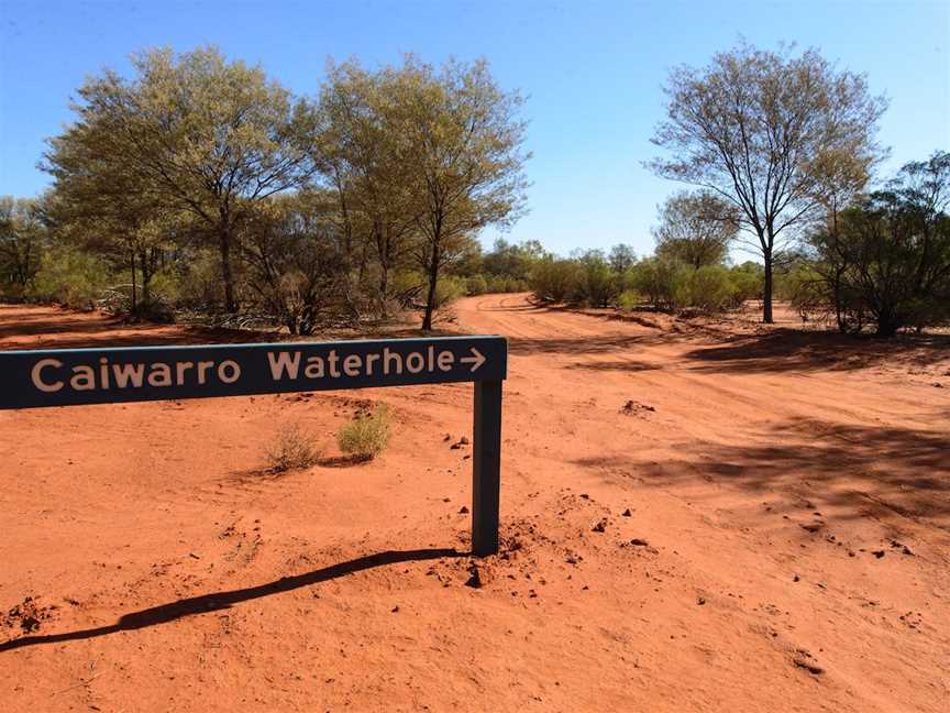 Caiwarra - Paroo River Fishing Spot, Hungerford, QLD