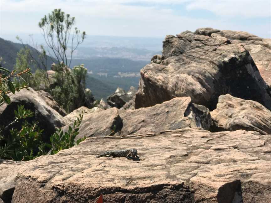 South Jawbone Peak, Taggerty, VIC