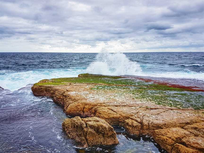 Jervis Bay Marine Park, Jervis Bay, NSW