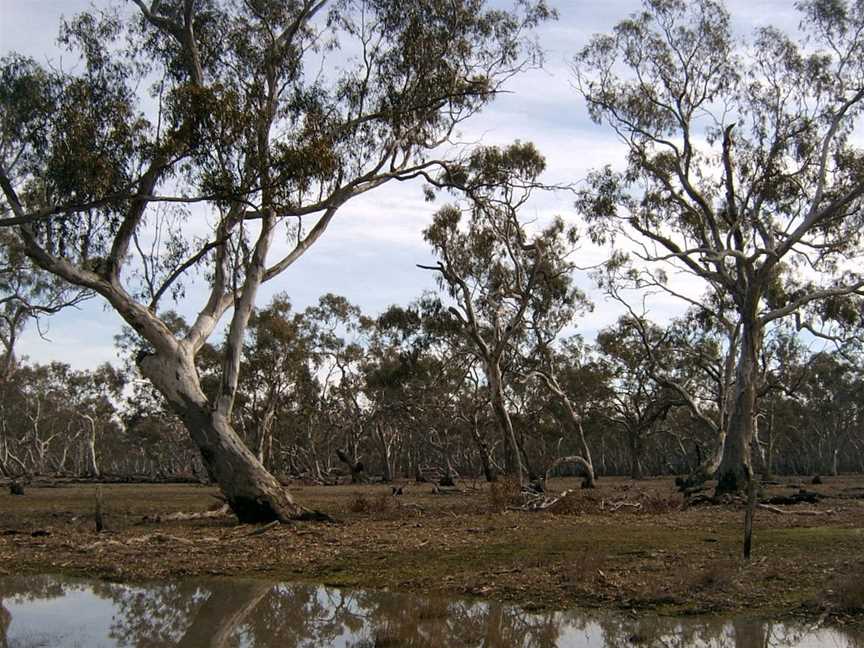 Murchison Rail Trail, Murchison, VIC