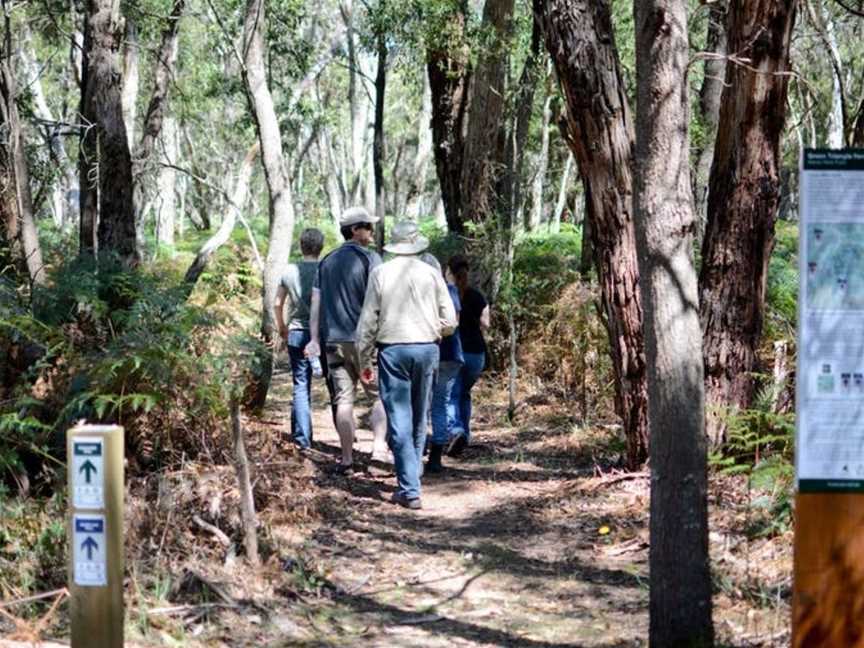 Honan Native Forest and  Mint Trail, Glencoe, SA