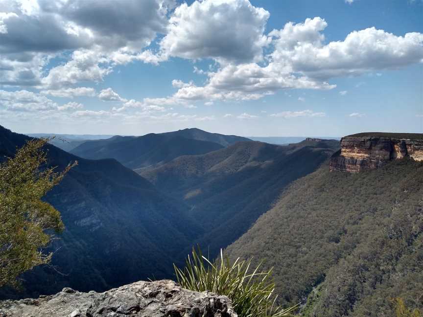 Kanangra-Boyd National Park, Kanangra, NSW