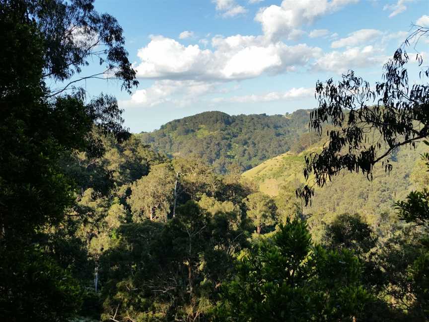 Morwell National Park, Morwell, VIC