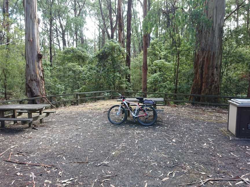 Morwell National Park, Morwell, VIC