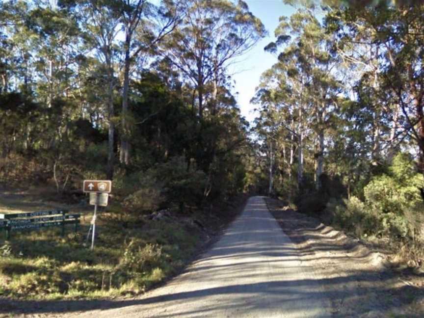 Box Cutting Rainforest Walk, Kianga, NSW