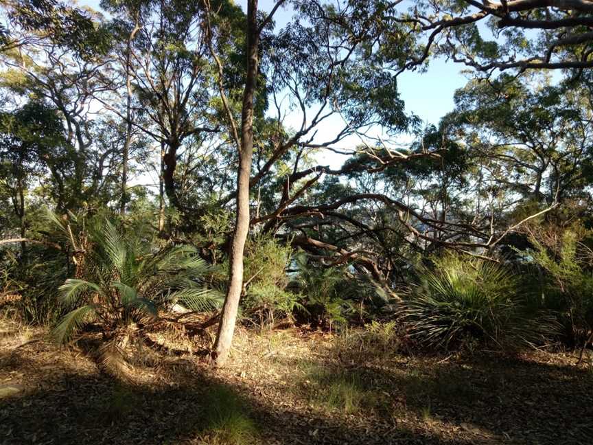 Allen Strom lookout, Killcare, NSW