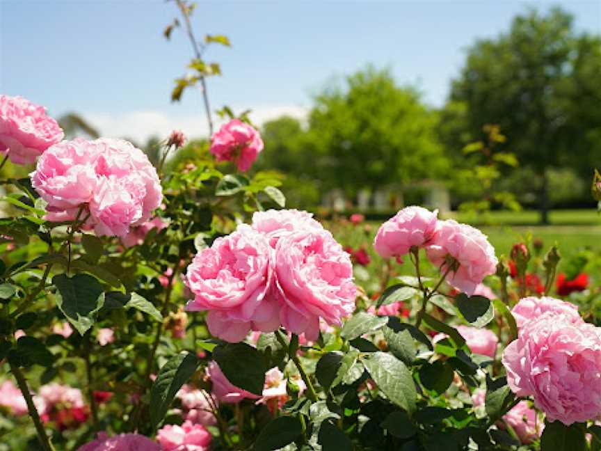 Old Parliament House Gardens, Parkes, ACT