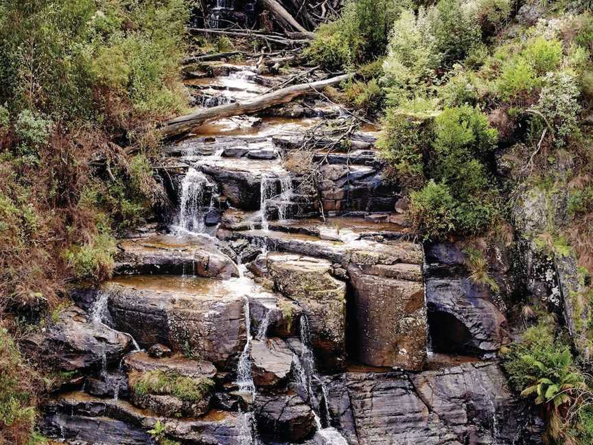 Kinglake National Park, Kinglake West, VIC