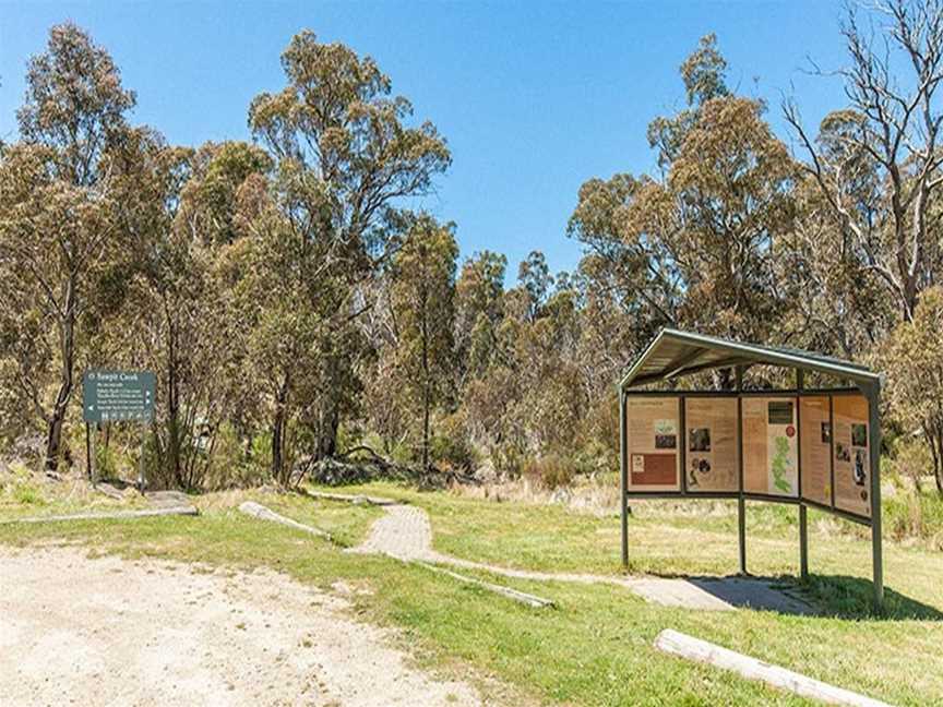 Sawpit Creek picnic area, Kosciuszko National Park, NSW