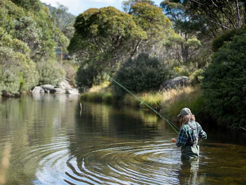 Cannonball Downhill Trail, Thredbo, NSW