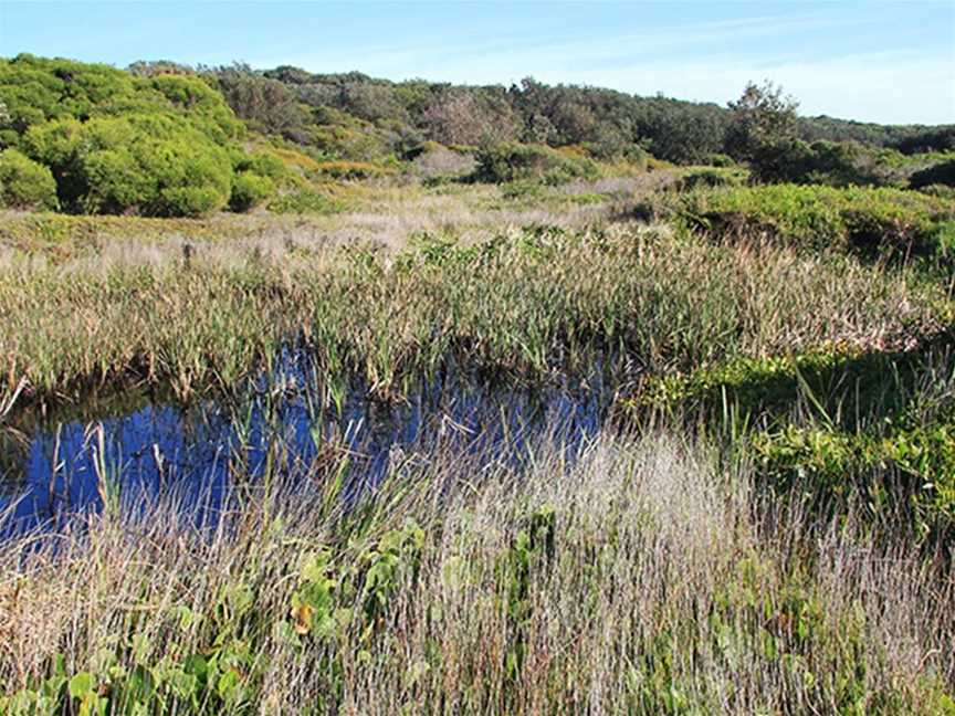 Yena picnic area, Kurnell, NSW