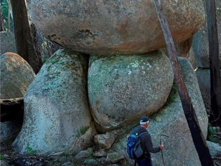 Gulaga Mountain Walk, Tilba Tilba, NSW