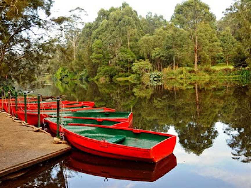 Lane Cove National Park, Chatswood West, NSW