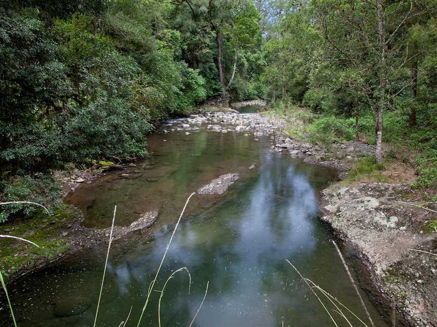 Allyn River Rainforest Walk, Upper Allyn, NSW