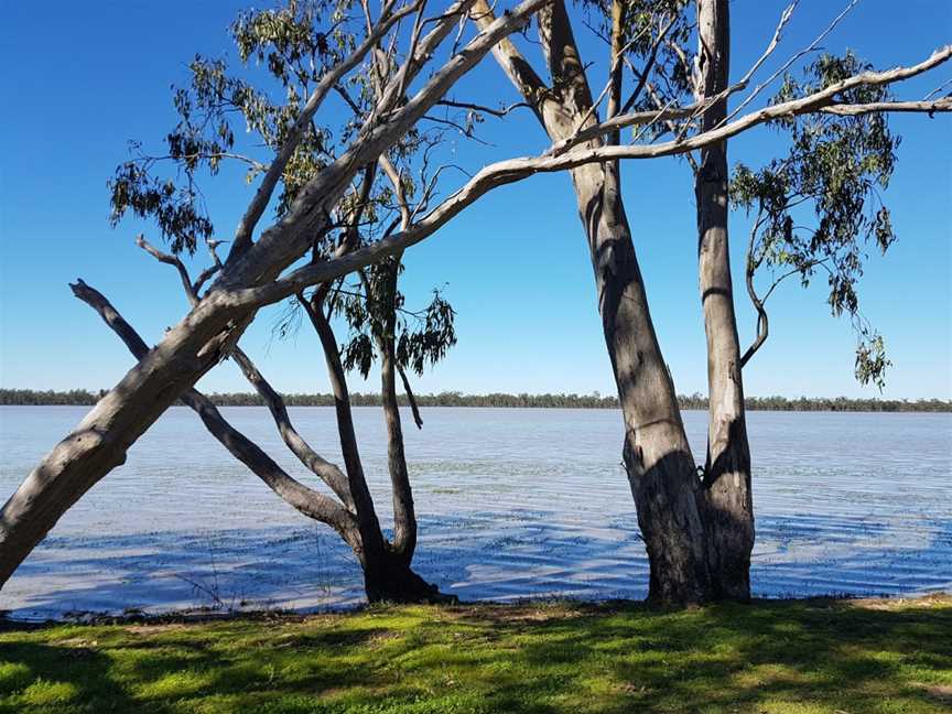 Lake Broadwater Conservation Park, Dalby, QLD